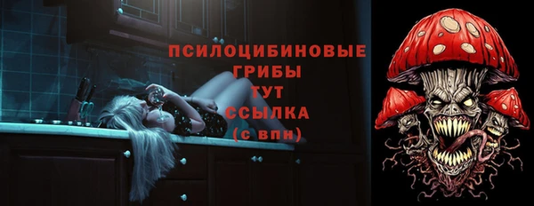 тгк Абинск