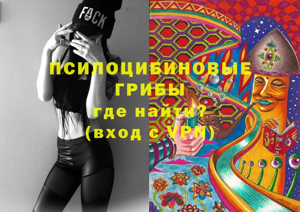 тгк Абаза