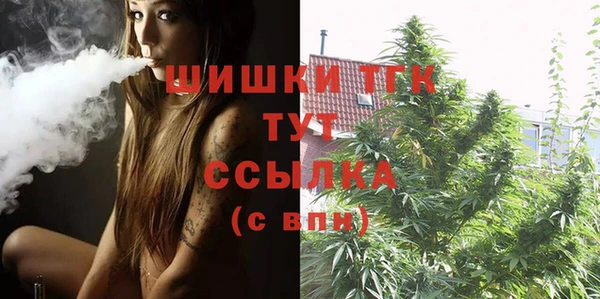 тгк Абаза