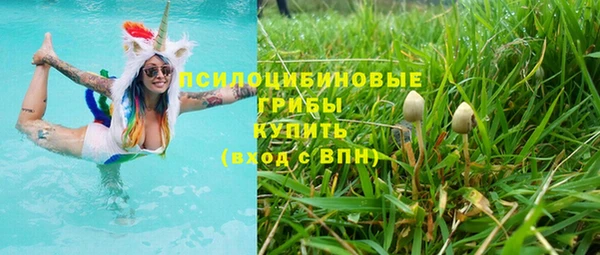 тгк Абаза