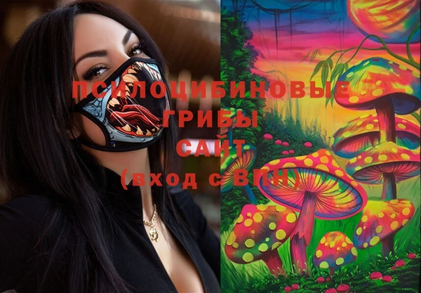 тгк Абинск