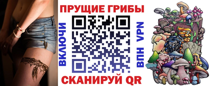 Псилоцибиновые грибы Magic Shrooms  mega ССЫЛКА  Щёлкино 
