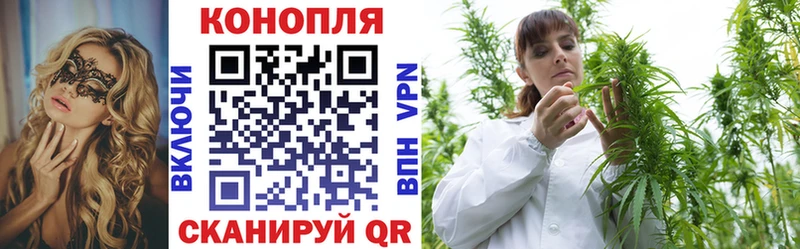 Бошки марихуана конопля  цены наркотик  Щёлкино 